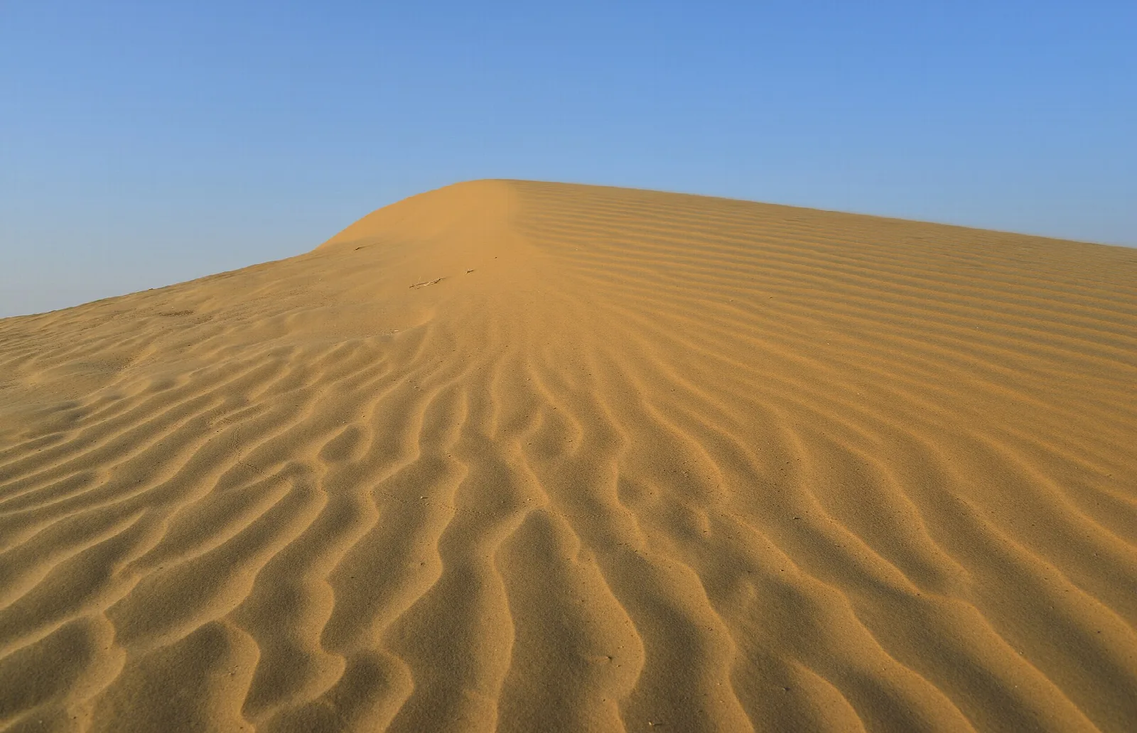 Desert National Park in Jaisalmer