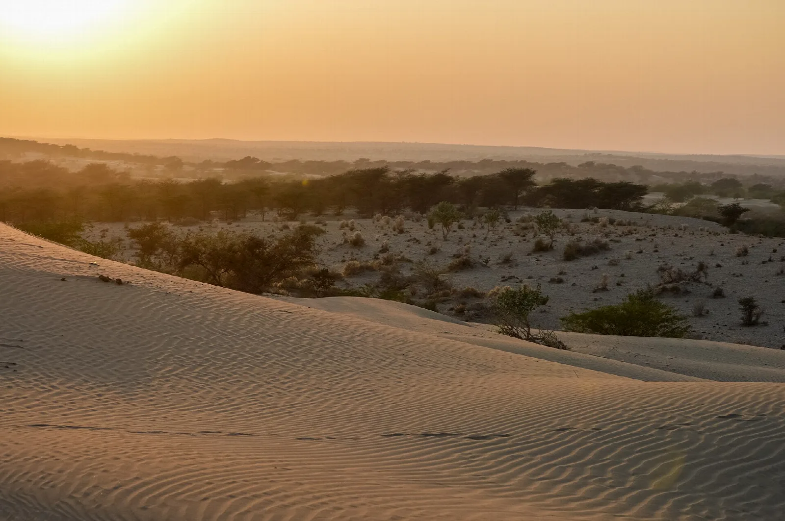 Sam Sand Dunes in the Thar Desert